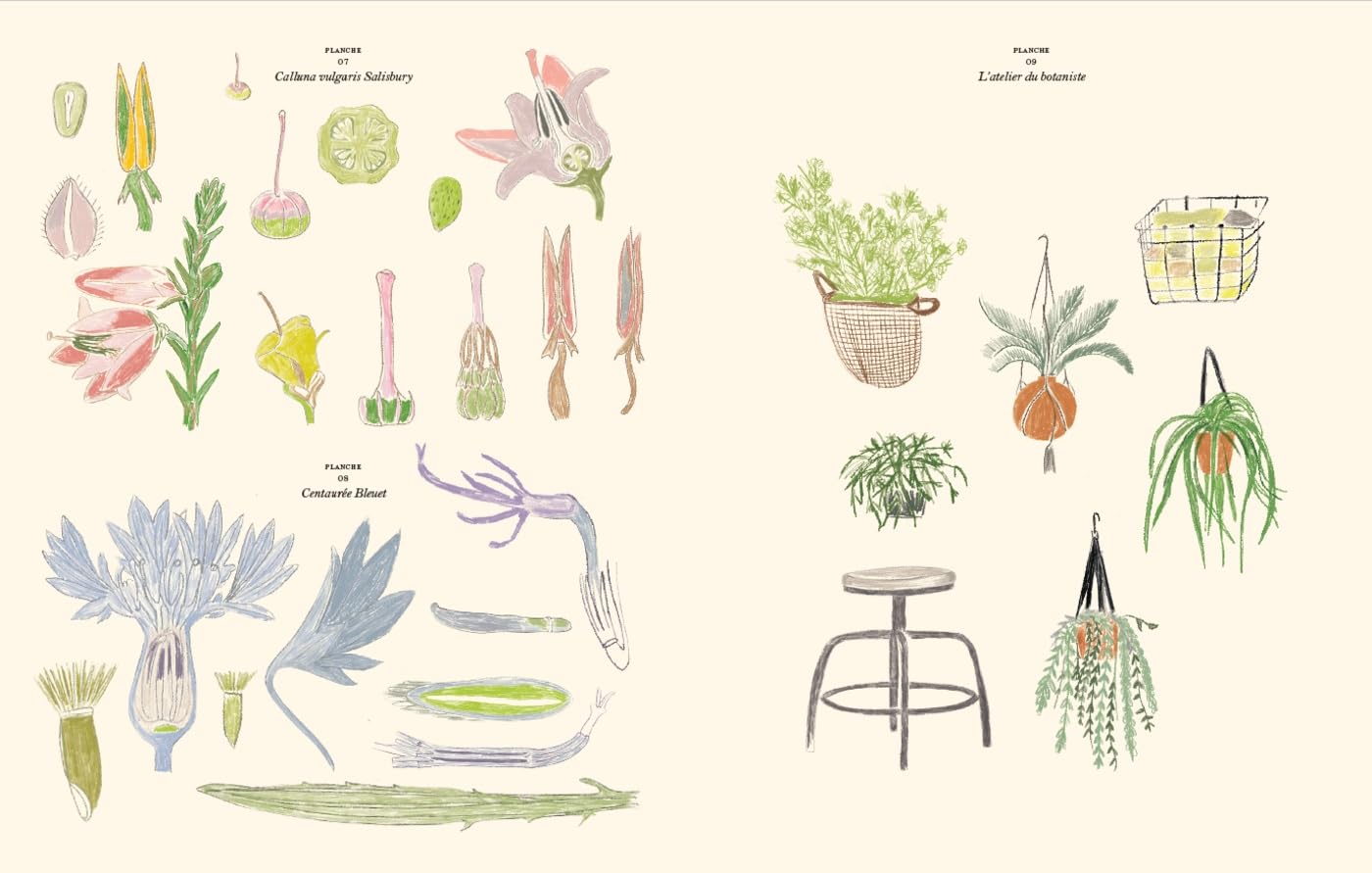 Le Jardin Coloriages et de stickers - Zoé de Las Cases - French