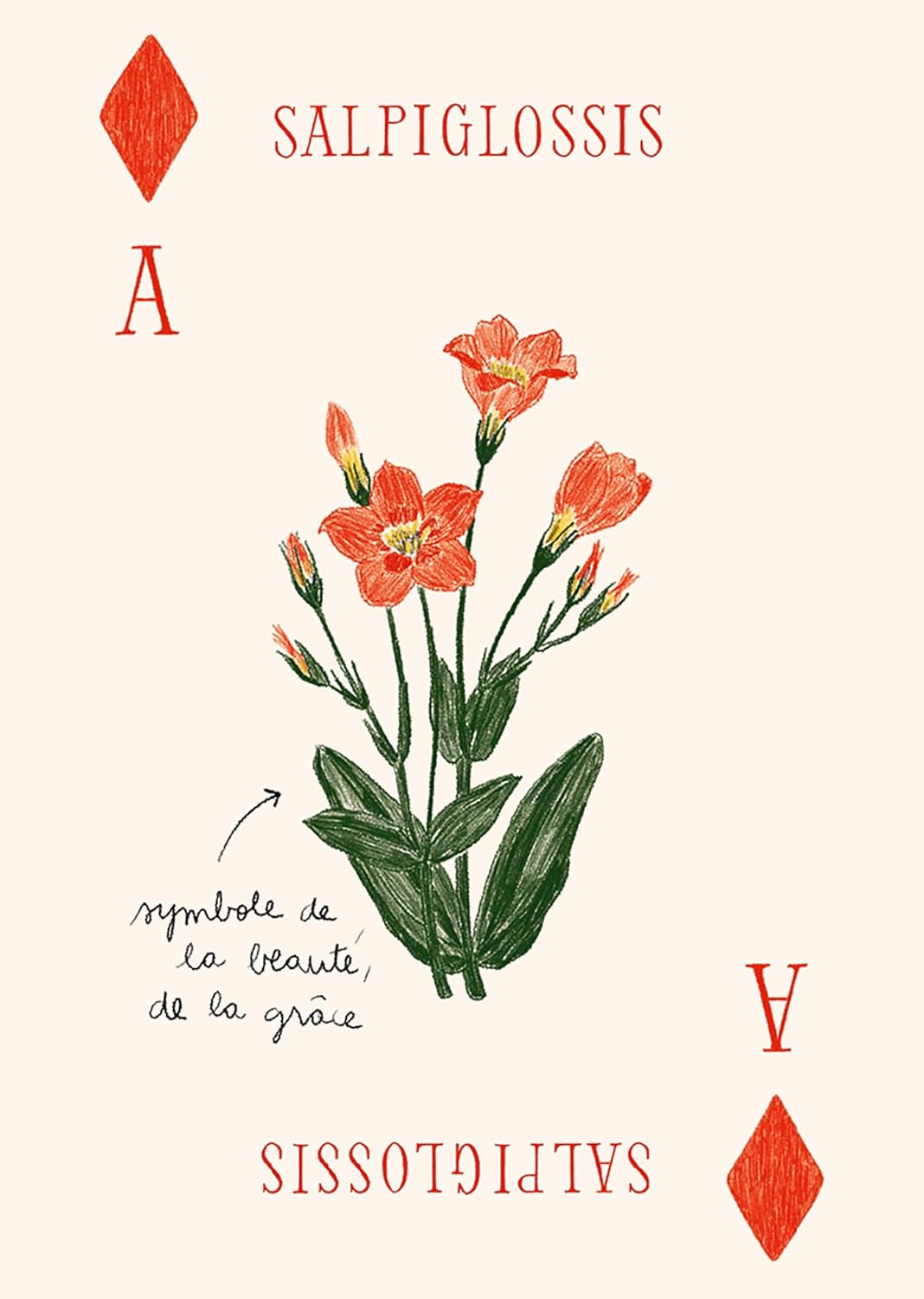 Jeu de Cartes Fleurs - Zoé de Las Cases - French
