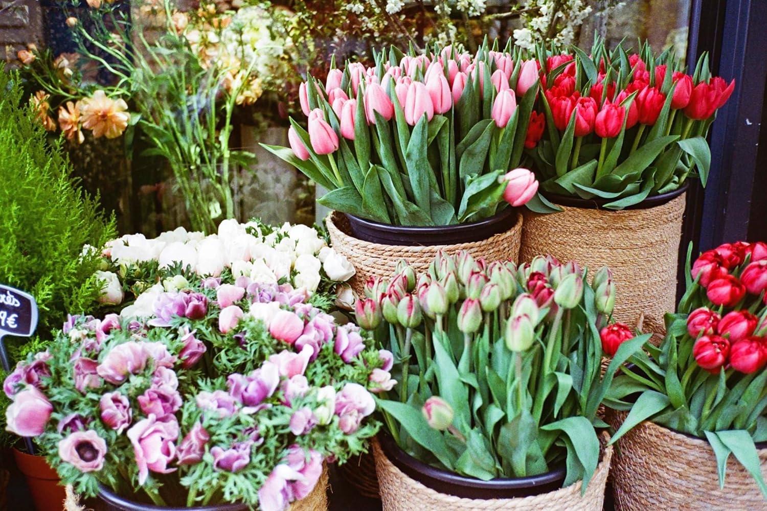 Paris Chéri Stickers book - Zoé de Las Cases - French