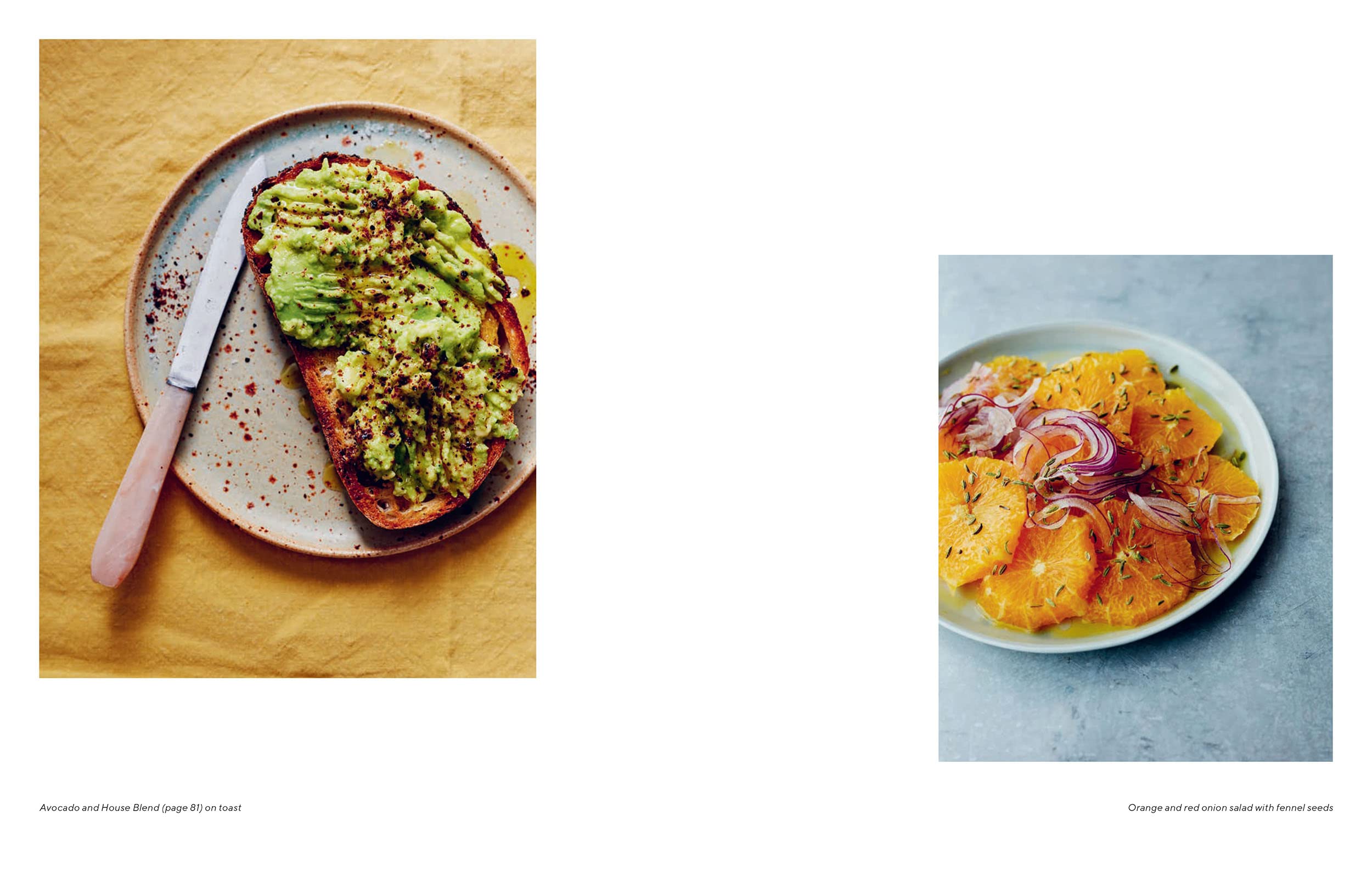 The Modern Spice Rack