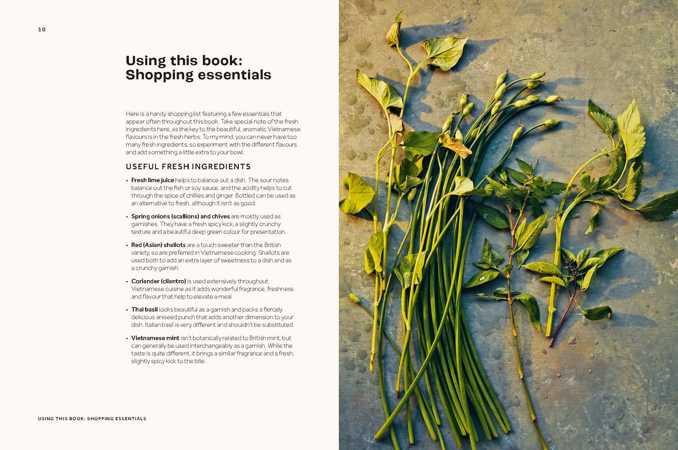 Vietnamese Made Easy