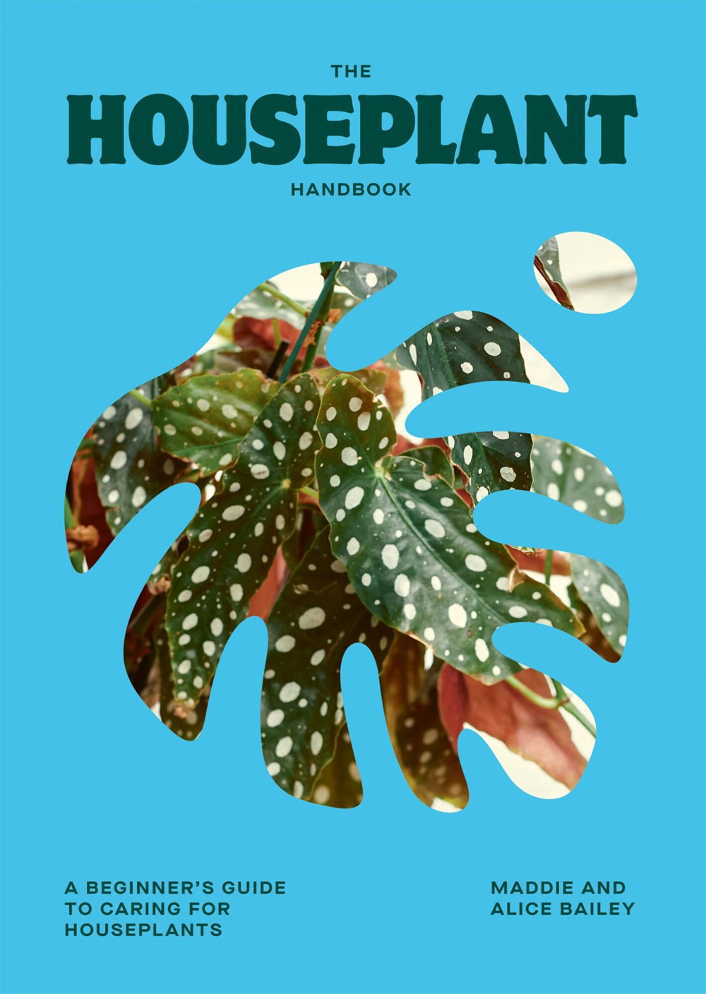 Houseplant Handbook