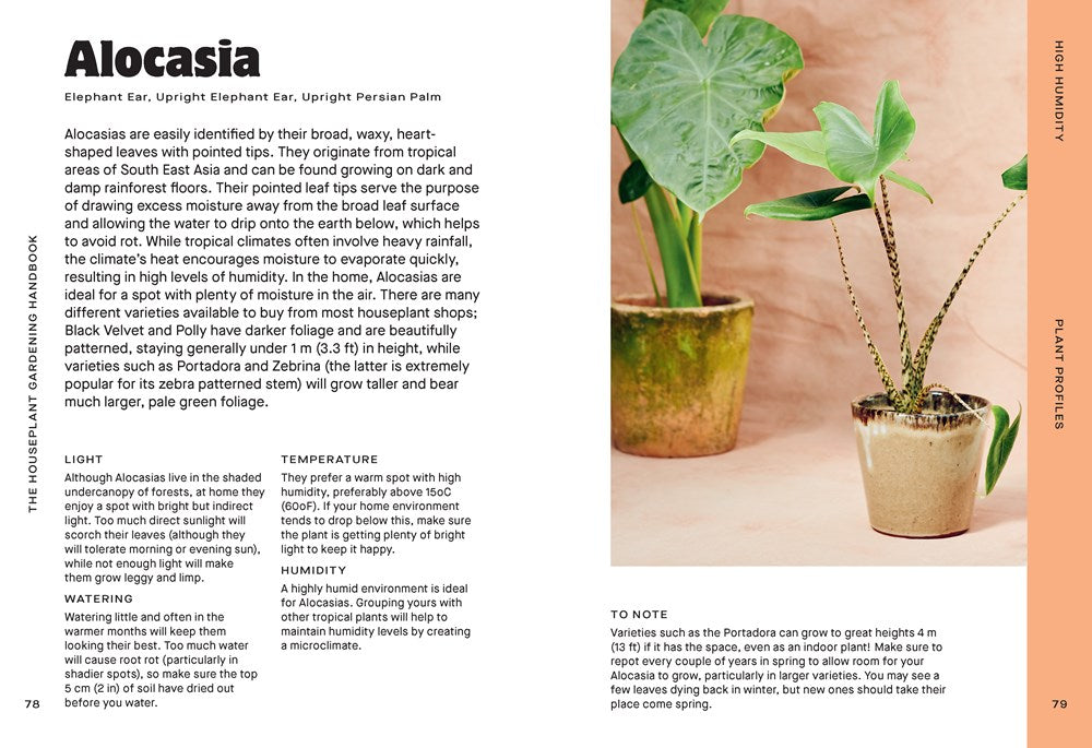 Houseplant Handbook