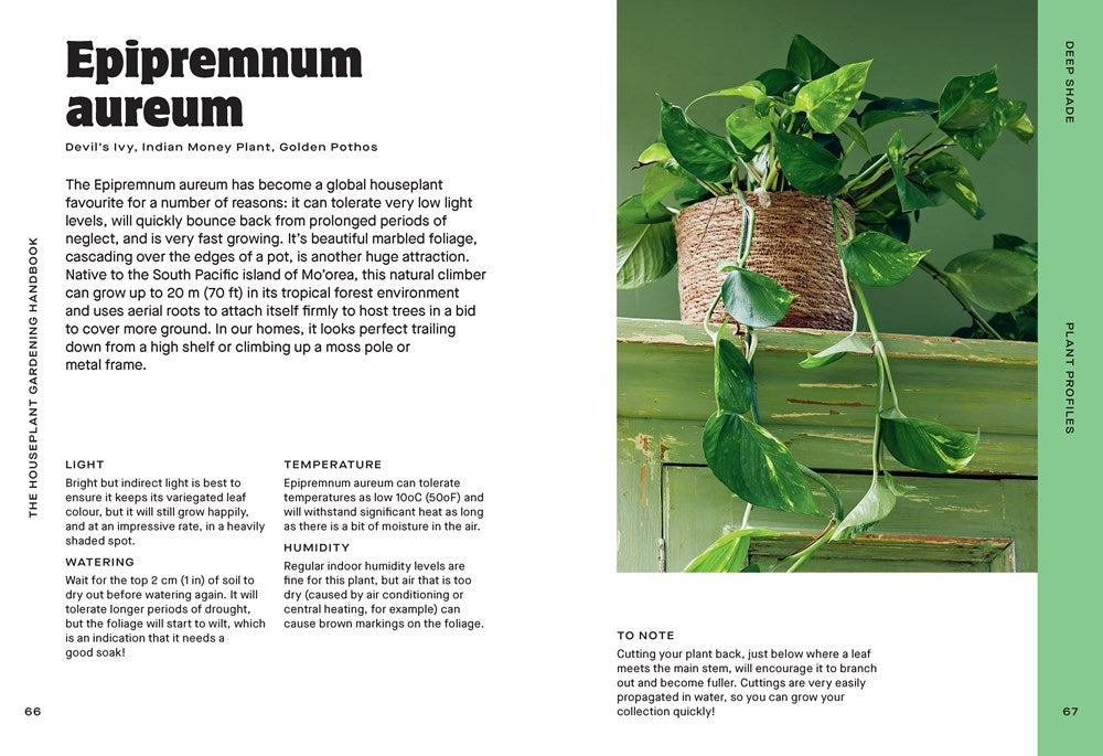 Houseplant Handbook