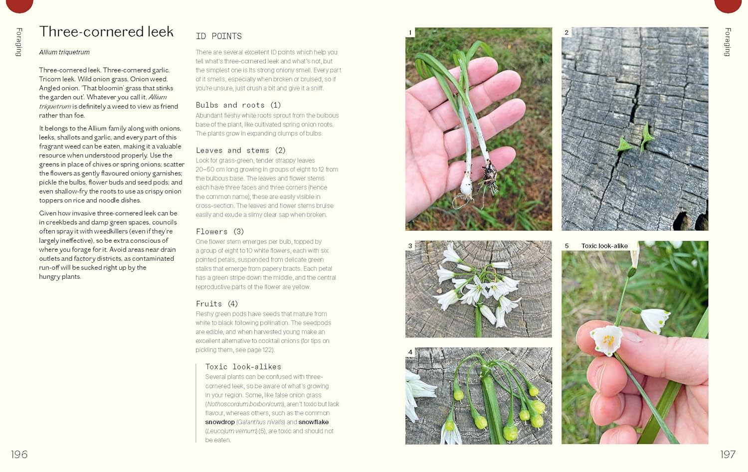 Everyday Permaculture