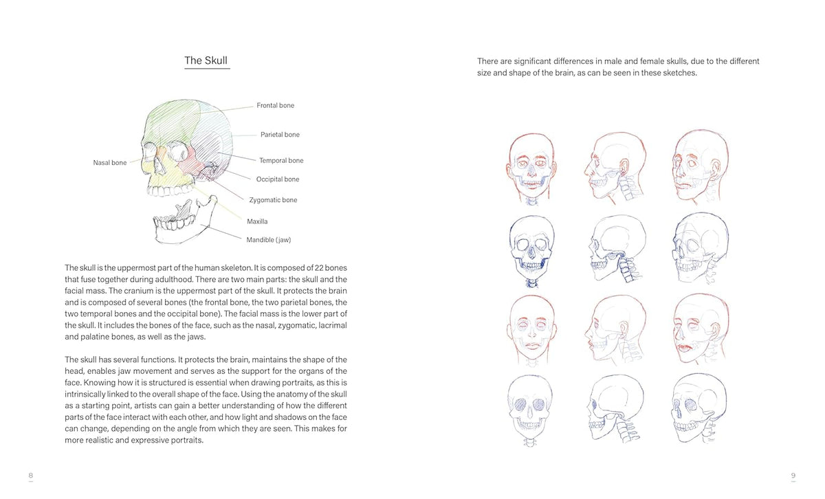Draw faces