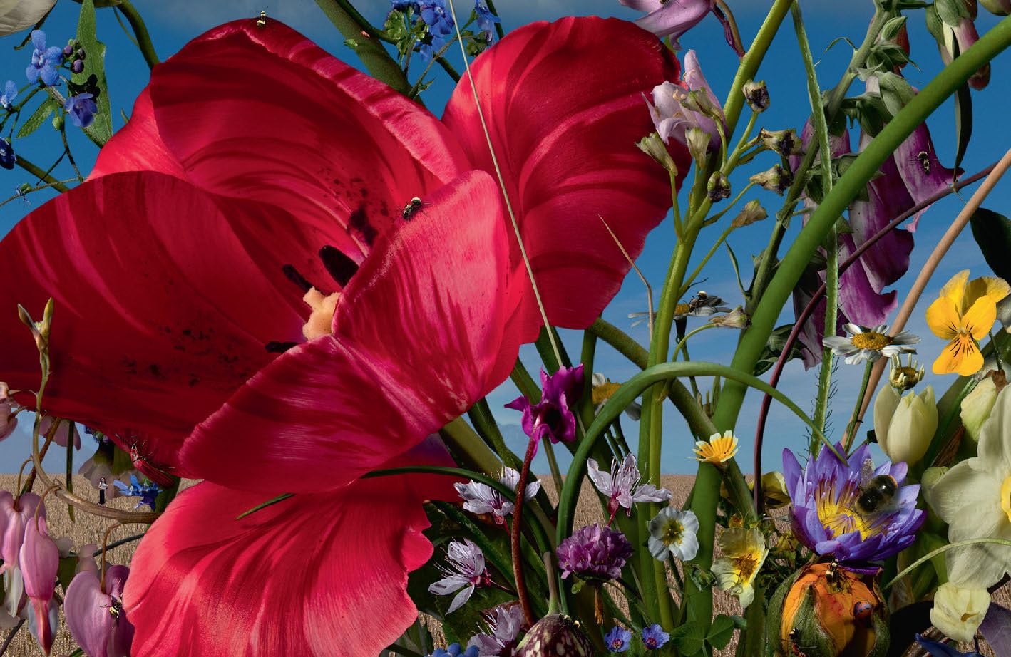 Flower Pieces - Bas Meeuws