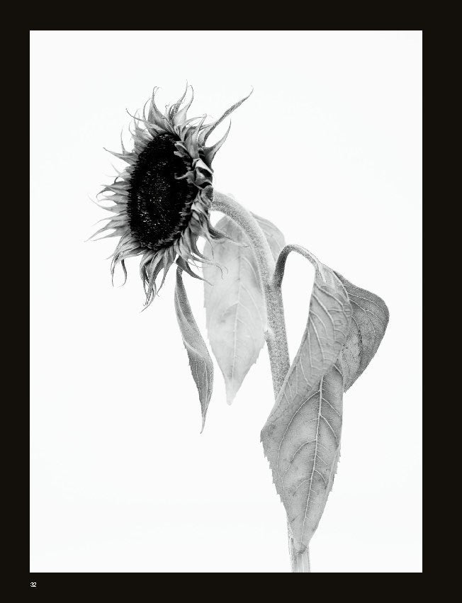 Willy Vanderperre. Prints. films. a rave and more...