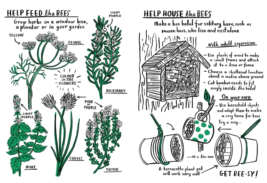 Hello Nature Activity Book