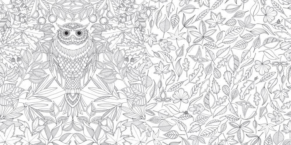 Secret Garden. Treasure Hunt and Colouring Book