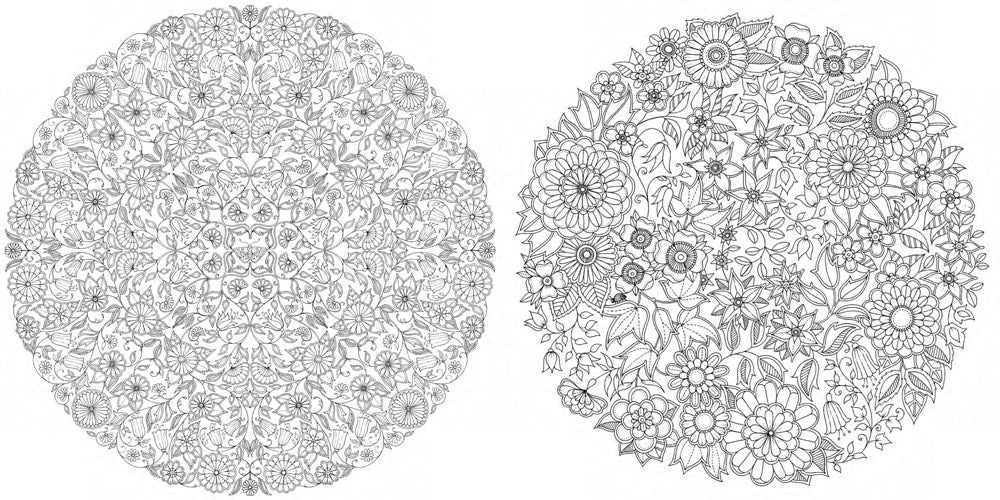 Secret Garden. Treasure Hunt and Colouring Book