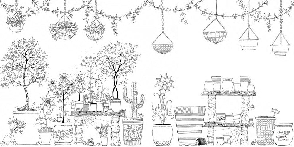 Secret Garden. Treasure Hunt and Colouring Book