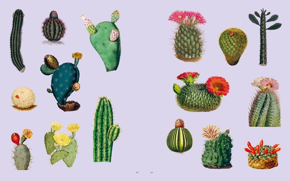 Extraordinary Things Sticker Book