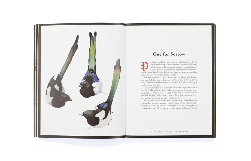 The Book of the Raven