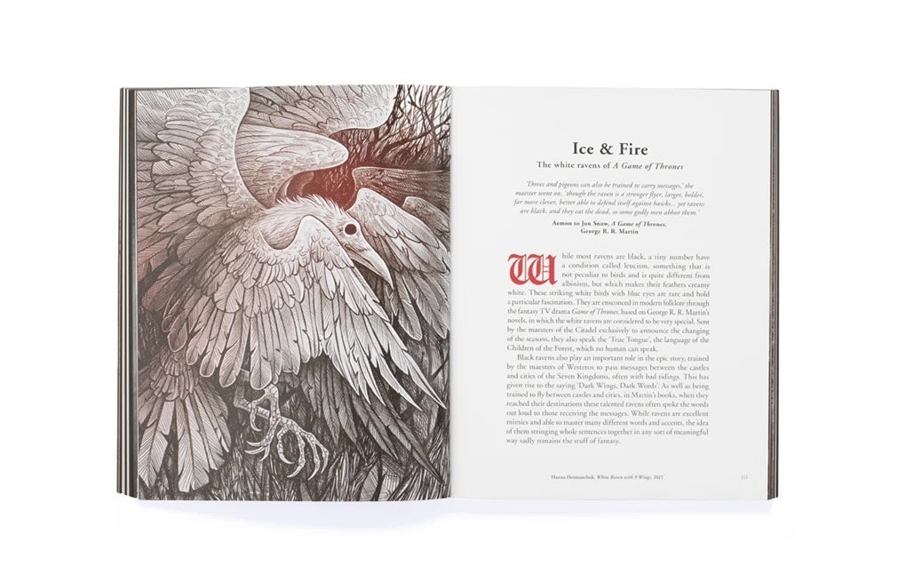 The Book of the Raven