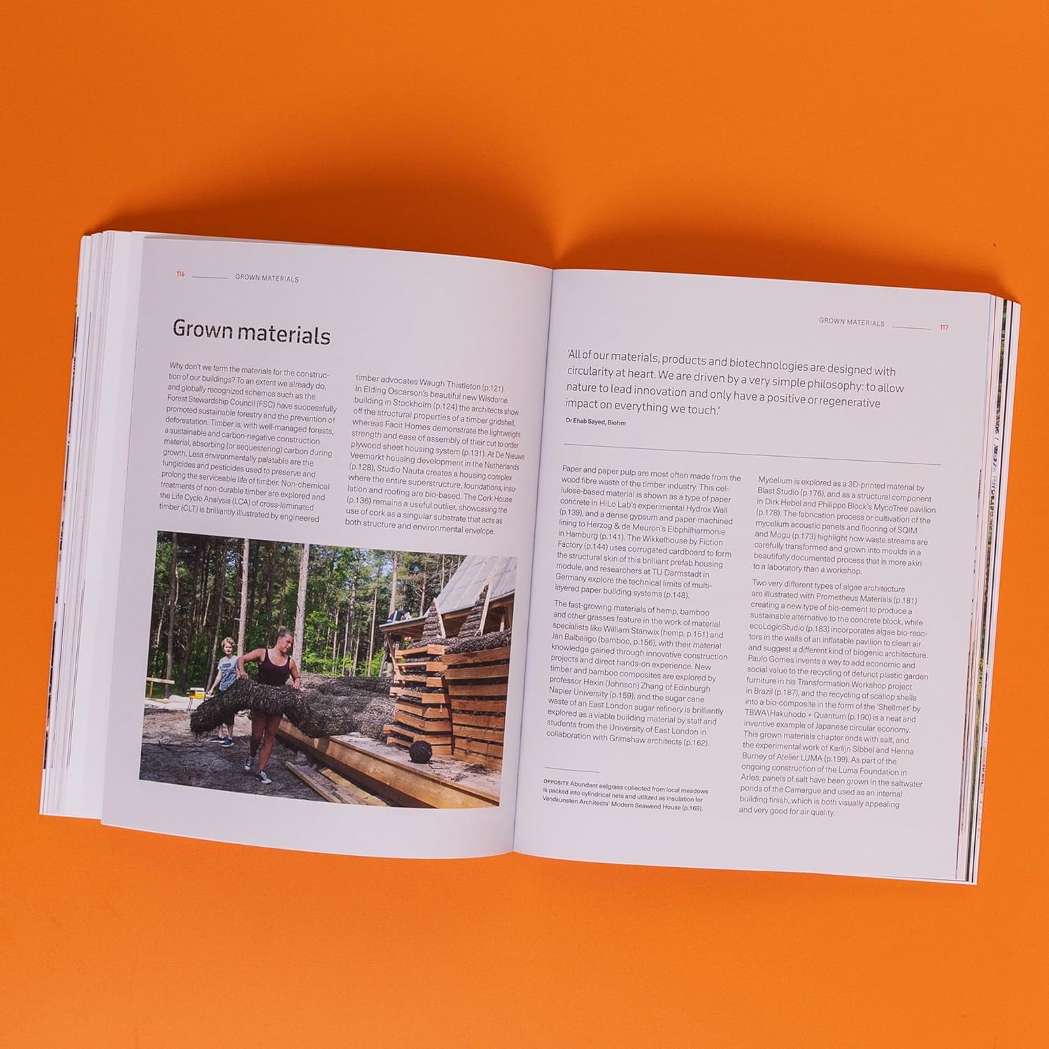 Sustainable and Regenerative Materials for Architecture