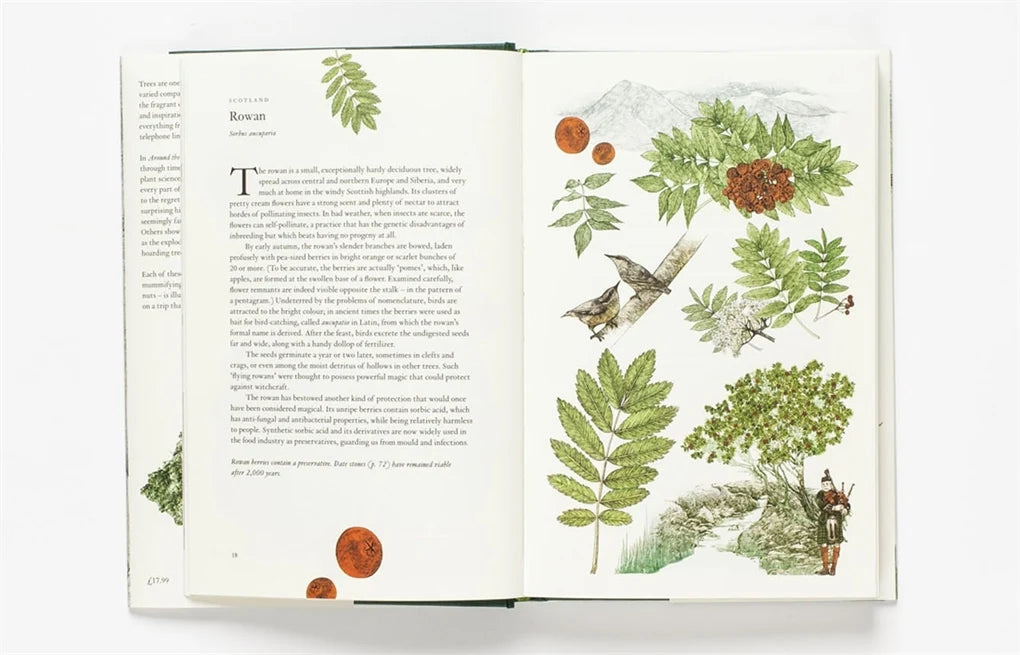 Around the World in 80 Trees