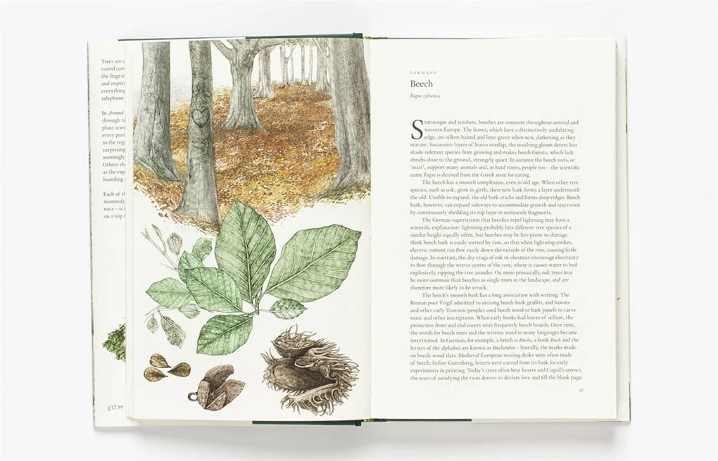Around the World in 80 Trees