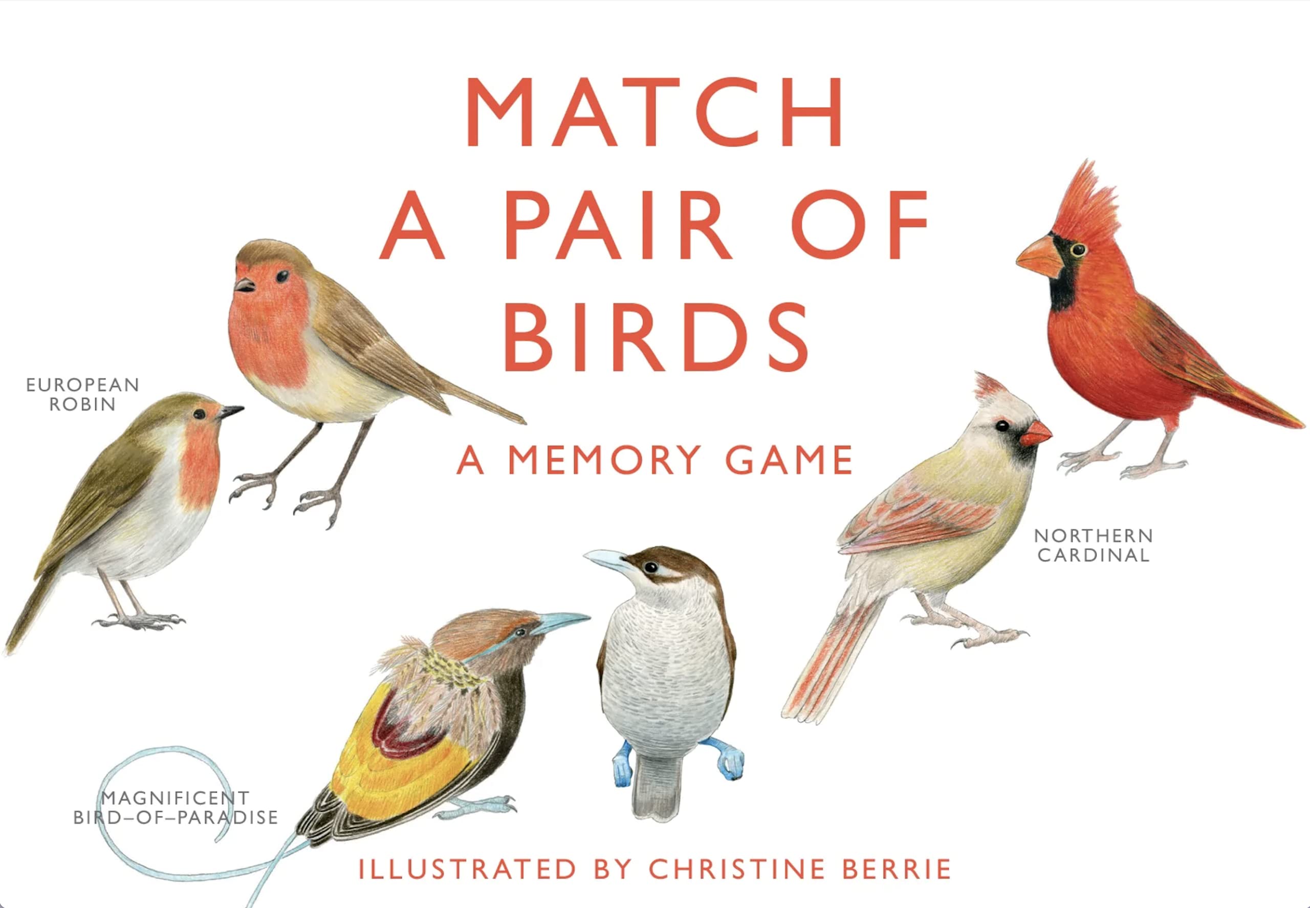 Match a pair of Birds
