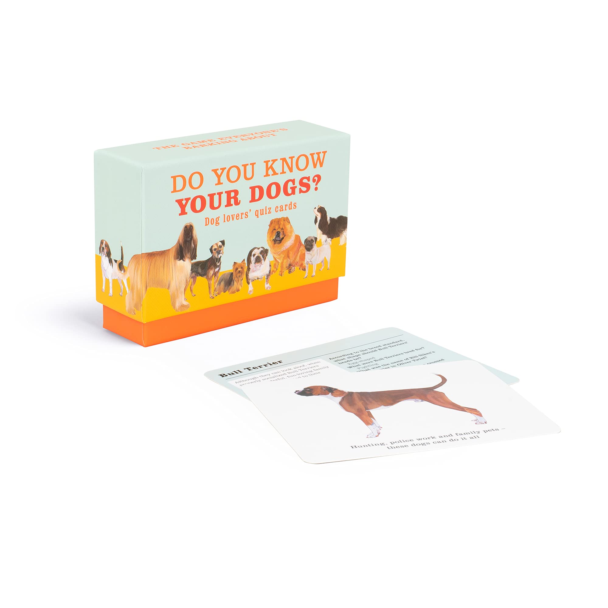 Do You Know Your Dogs?