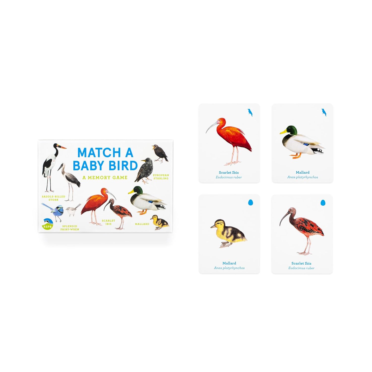 Match a Baby Bird