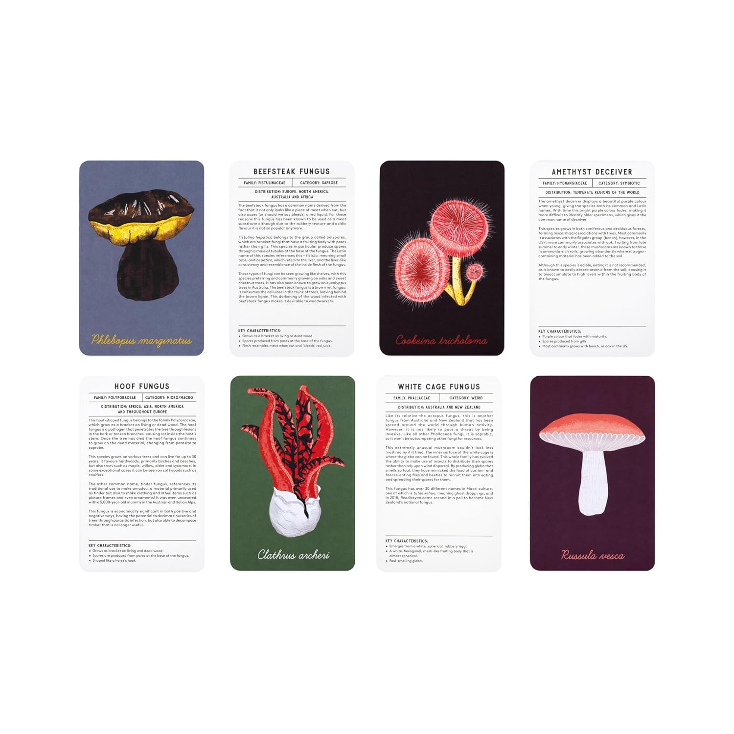 The Mushroom Compendium