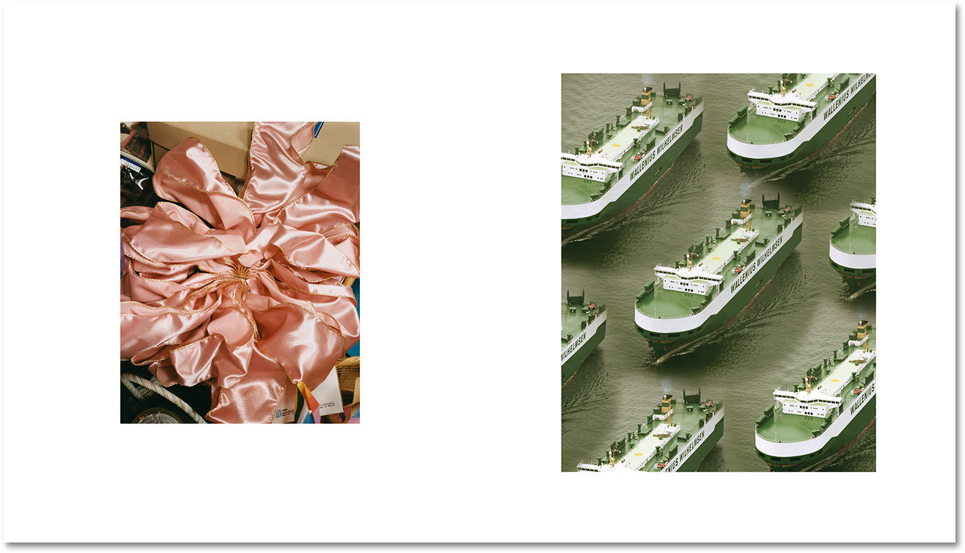 AMERICAN POLYCHRONIC. Roe Ethridge