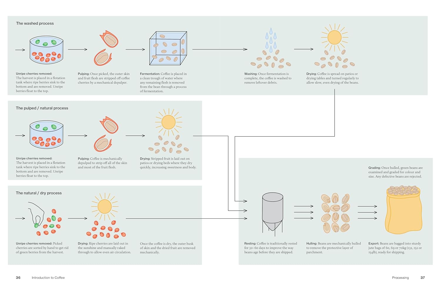 The World Atlas of Coffee 3rd edition