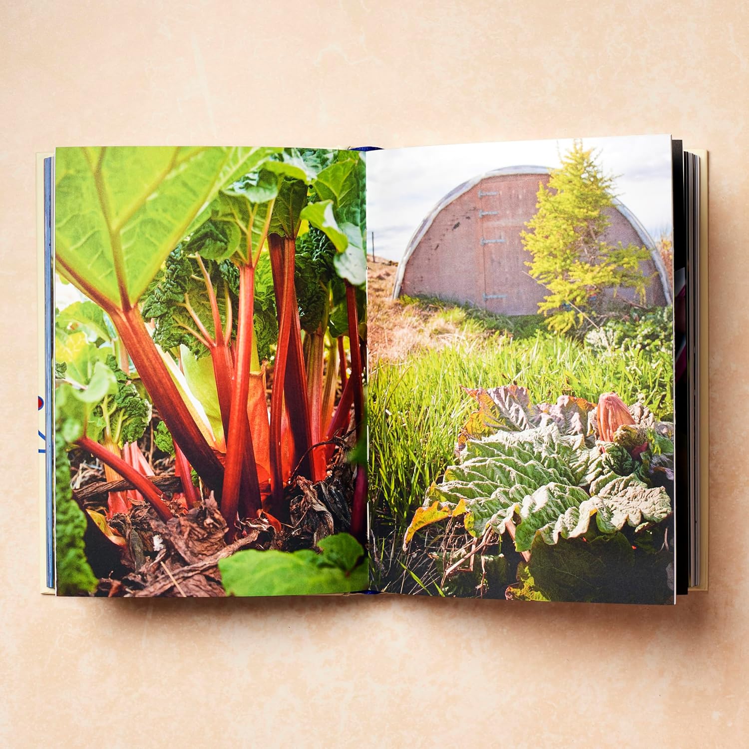 Scandinavia - Recipes and Ingredients