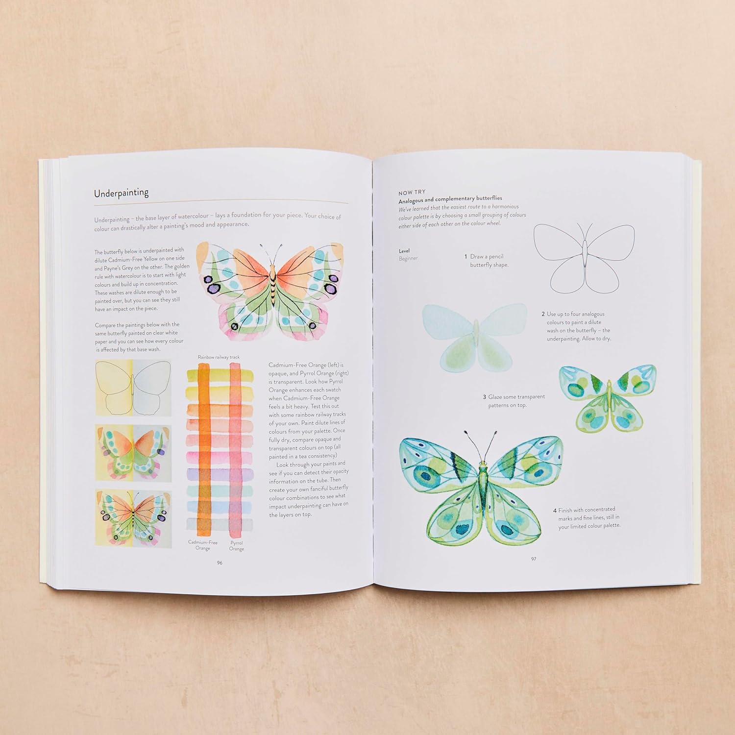 You Will Be Able to Paint with Watercolour by the End of This Book