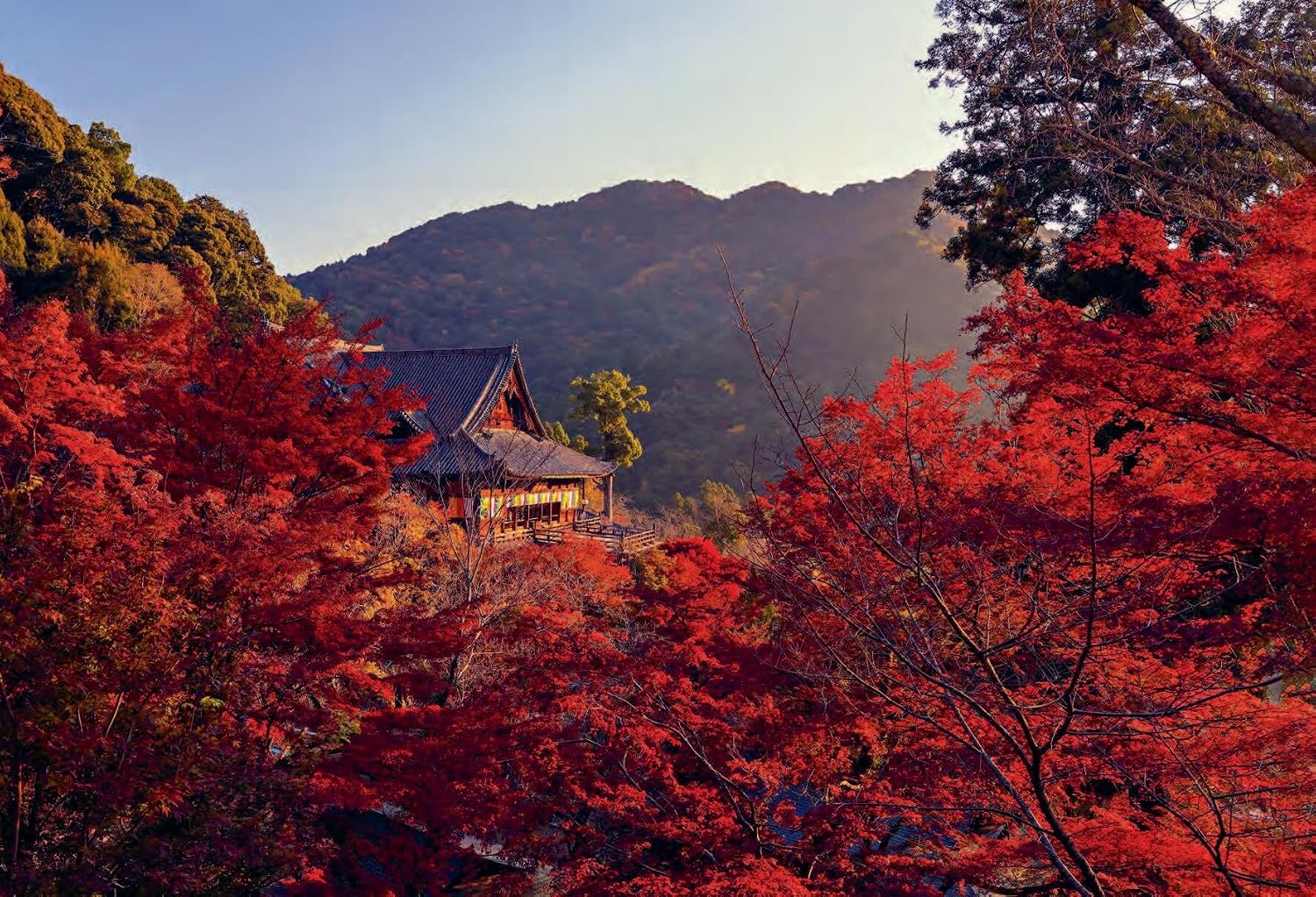 Japan - Voyage Collection