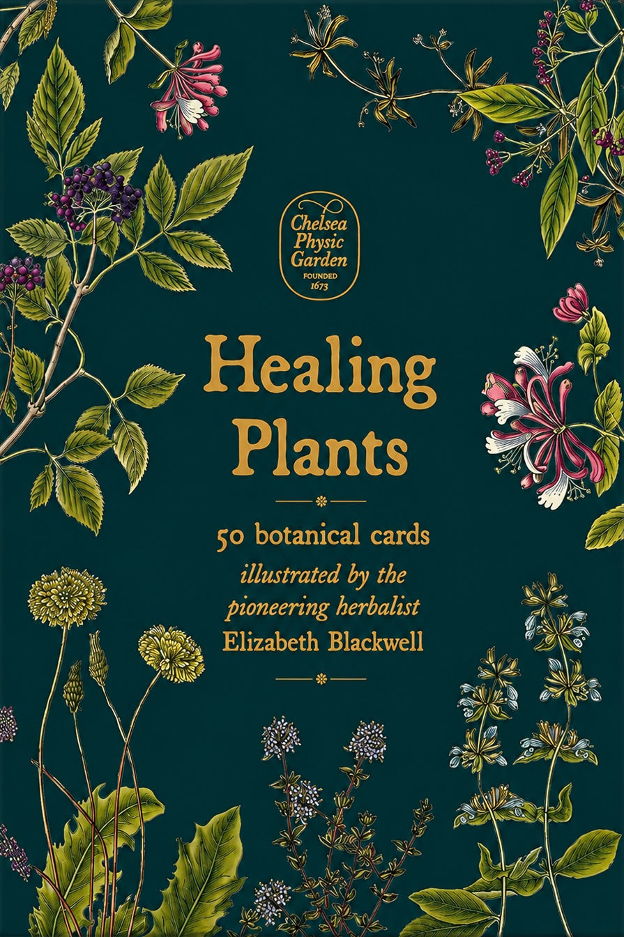 Healing Plants - 50 Botanical Cards
