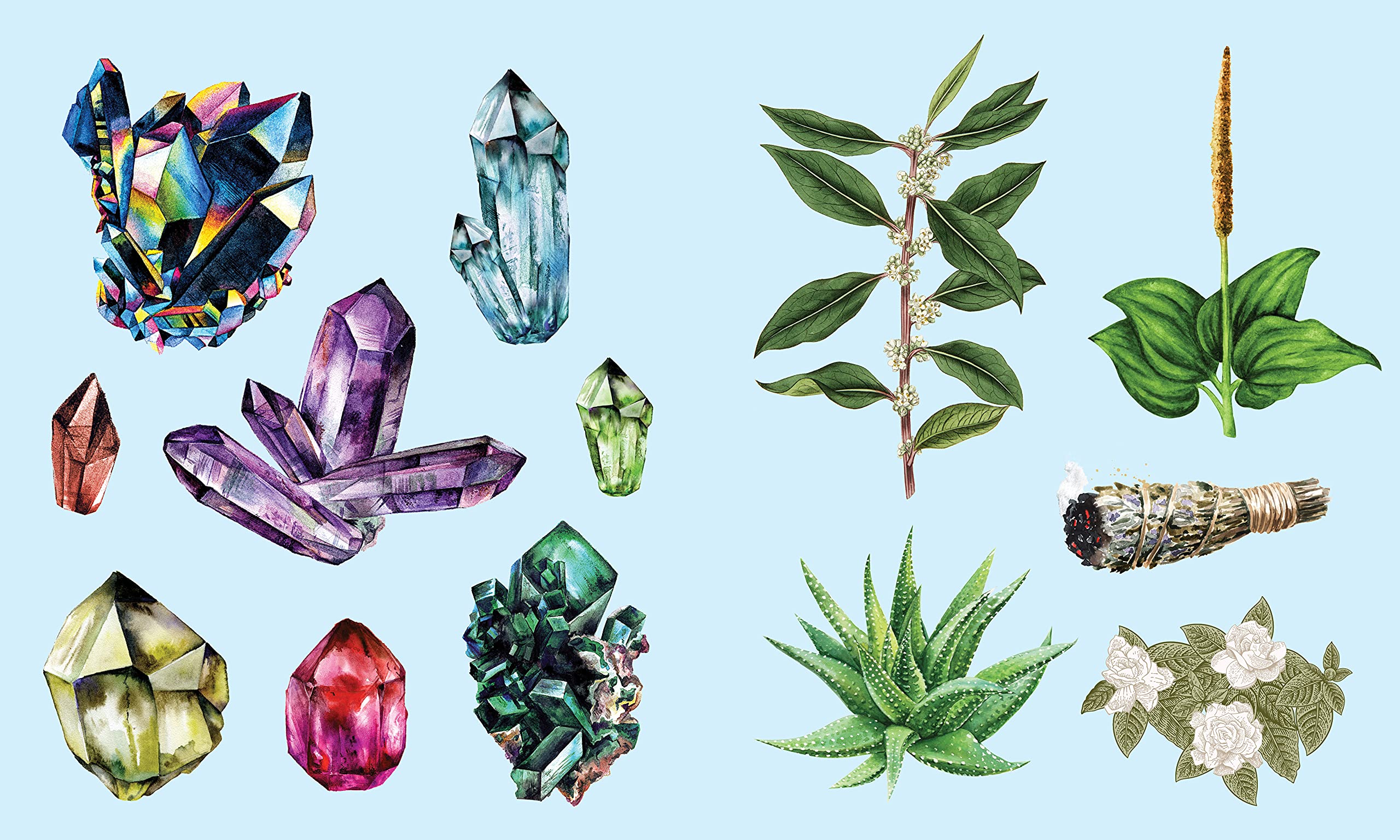 Apothecary – Sticker Studio