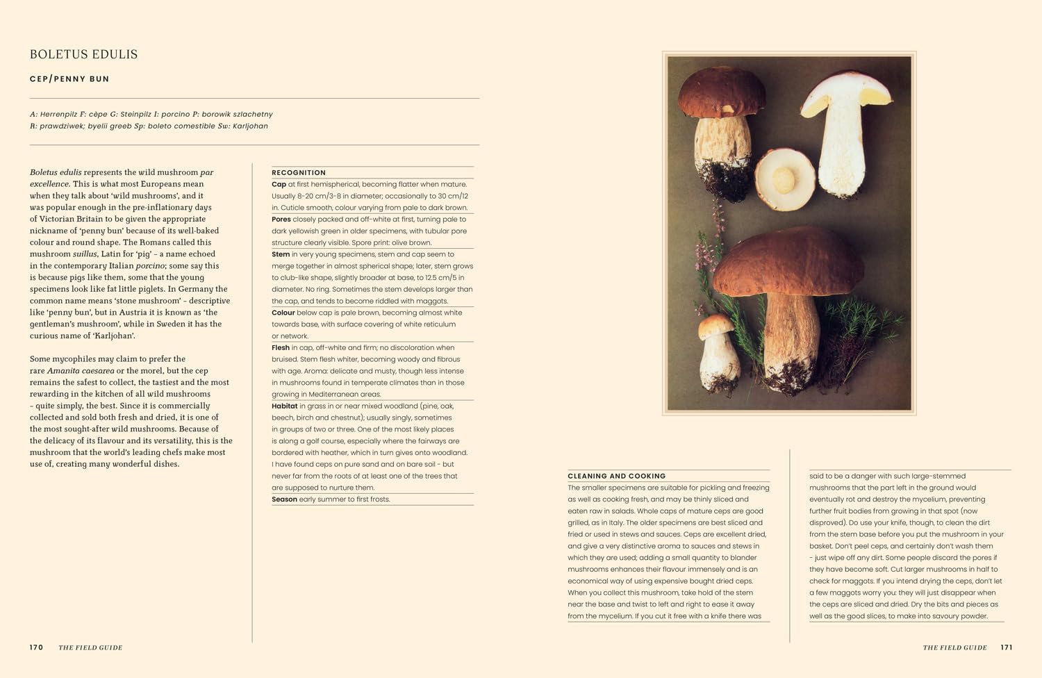 A Passion for Mushrooms