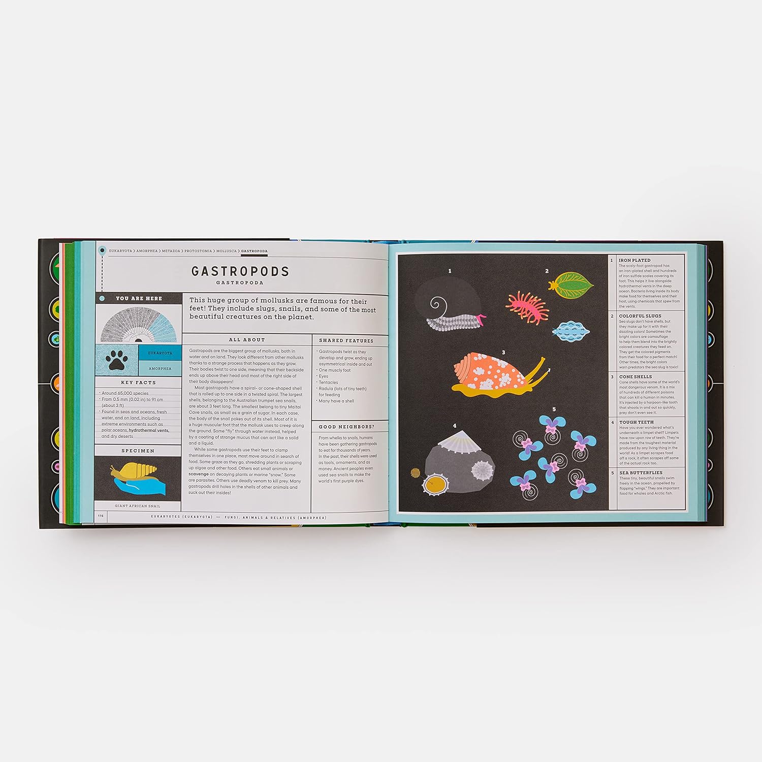 Full of Life - Exploring Earth's Biodiversity