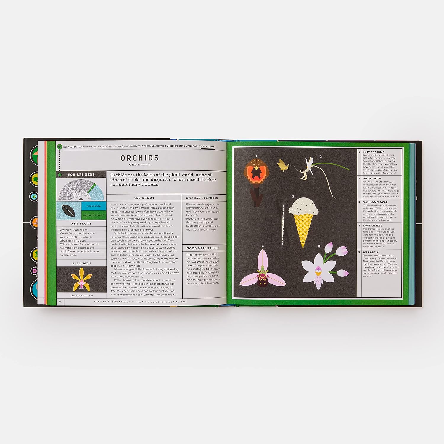 Full of Life - Exploring Earth's Biodiversity