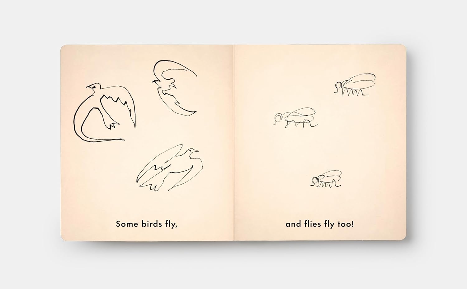 Birds & Other Animals with Pablo Picasso