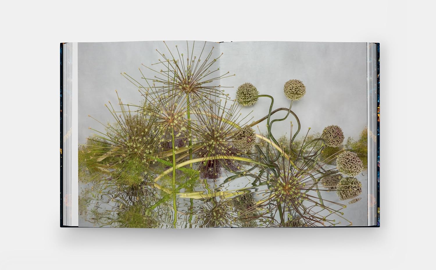 Emily Thompson Flowers