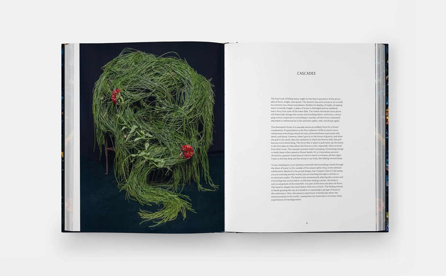 Emily Thompson Flowers