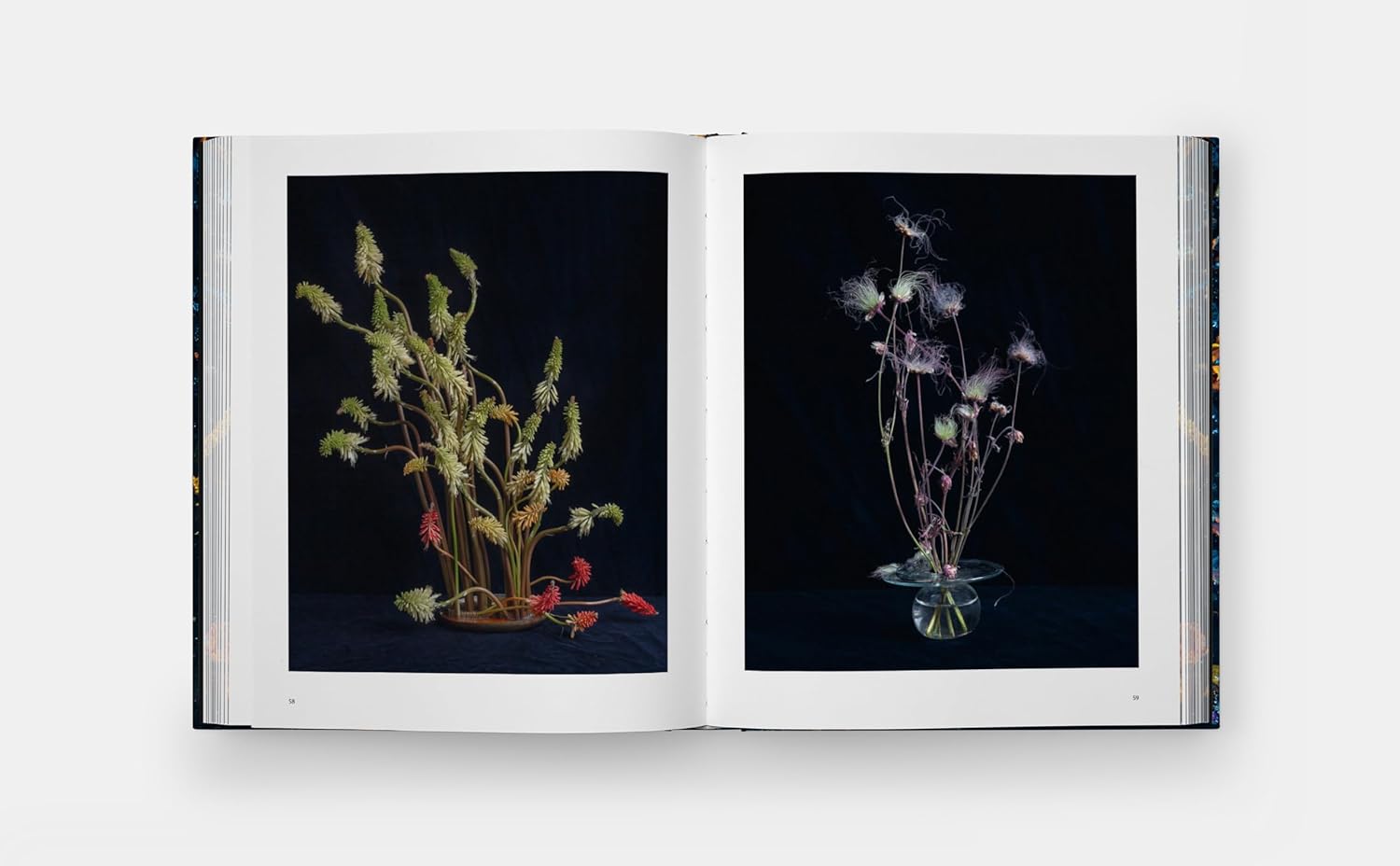 Emily Thompson Flowers