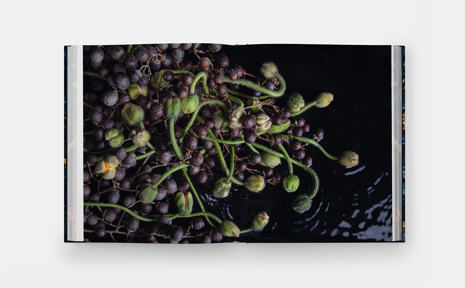 Emily Thompson Flowers