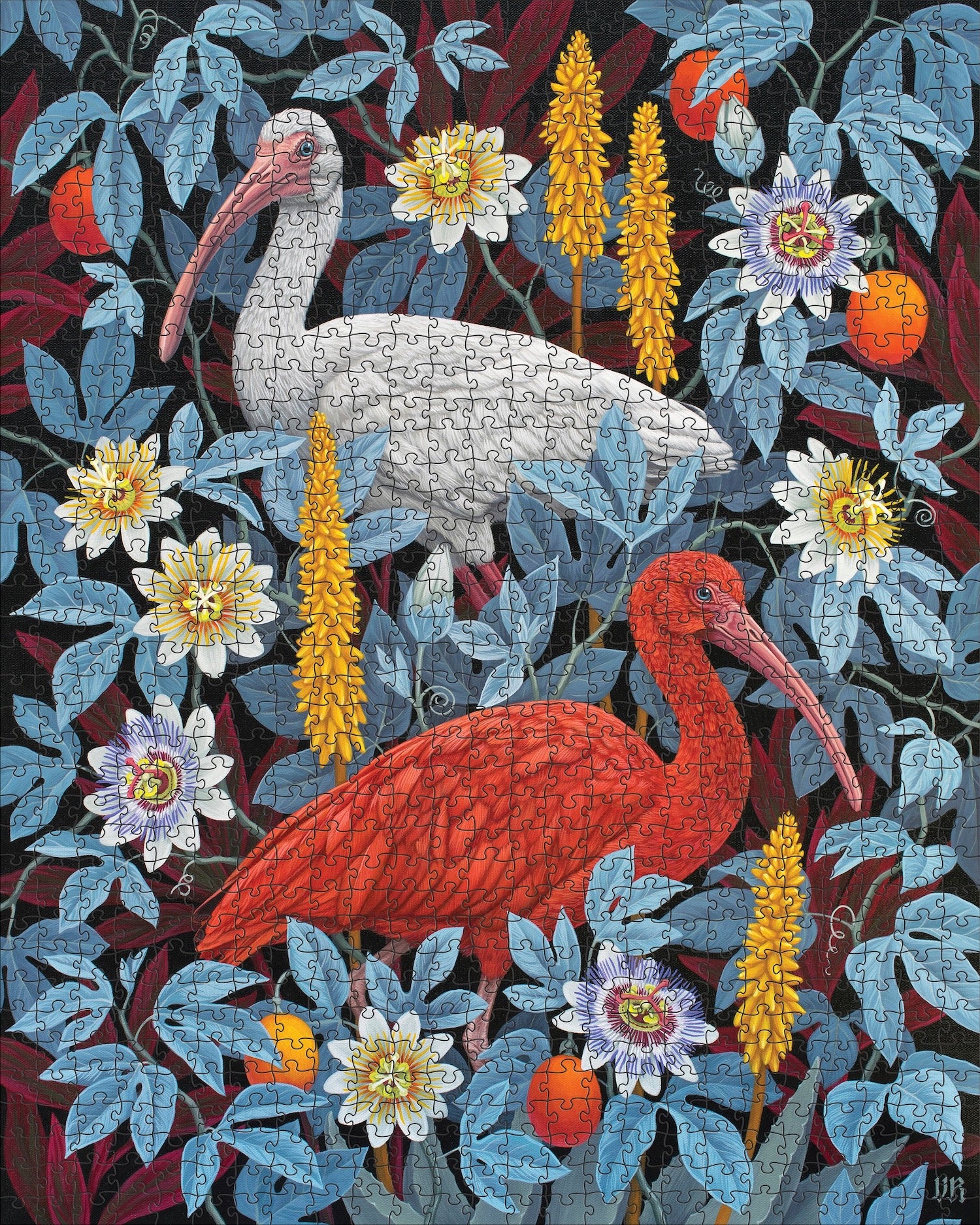 Vasilisa Romanenko: Ibises 1000 Piece Puzzle