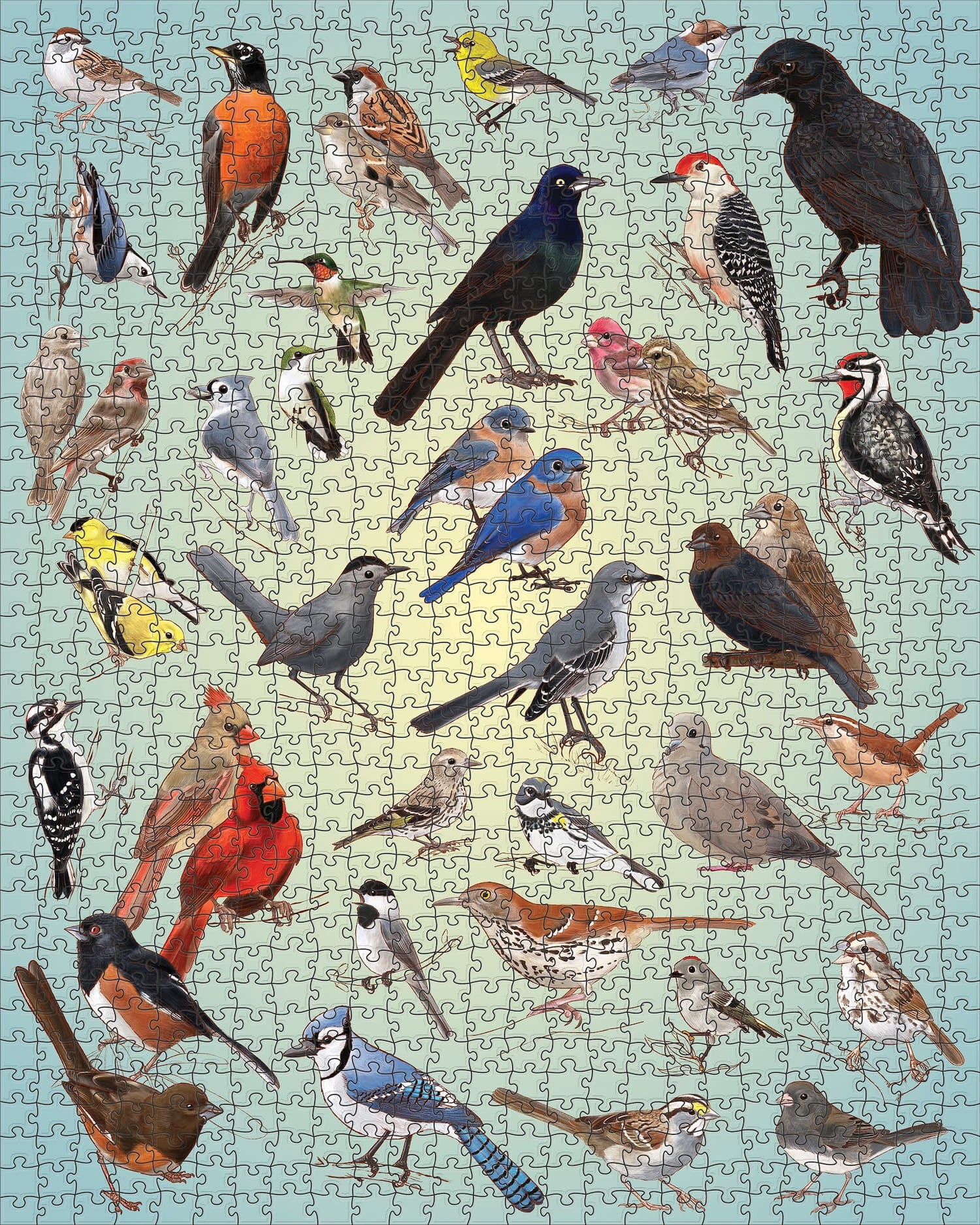 Casey Girard: Backyard Birds 1000 Piece Puzzle