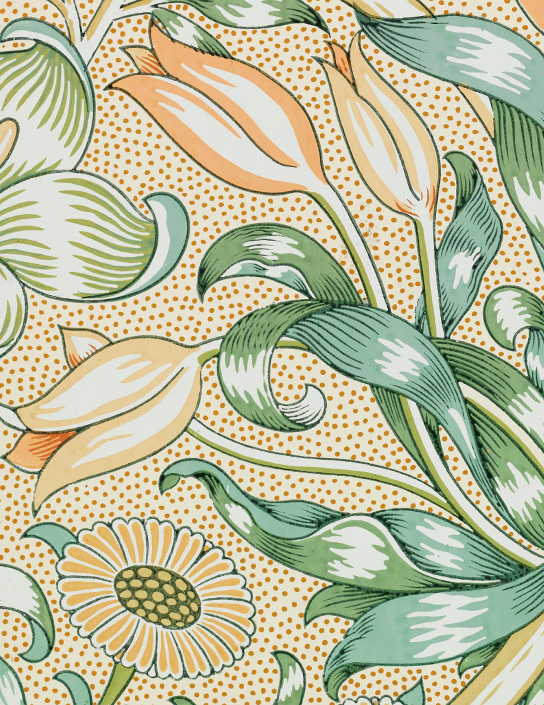 William Morris Keepsake Boxed Notecards