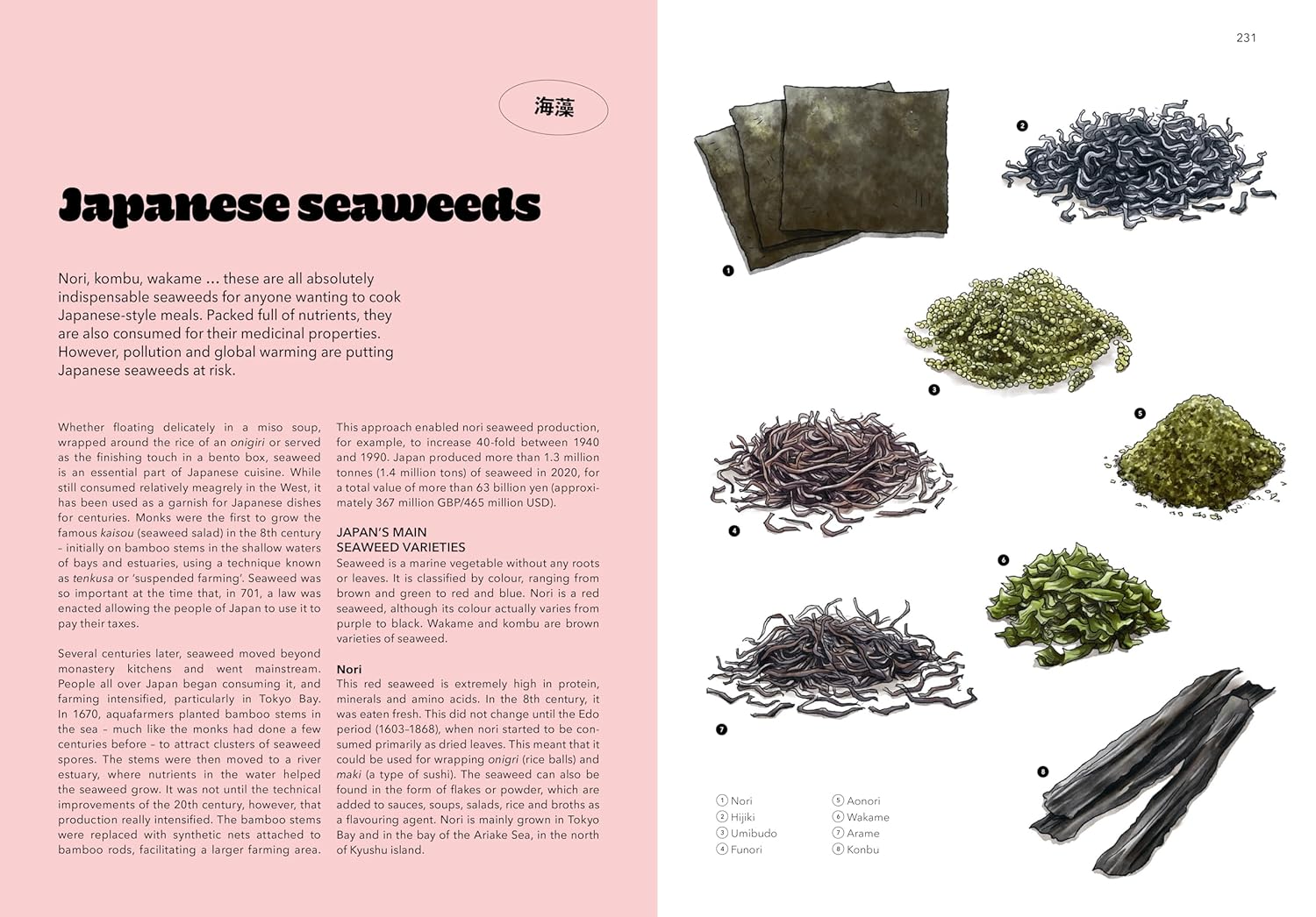 Japan - A Culinary Travel Diary