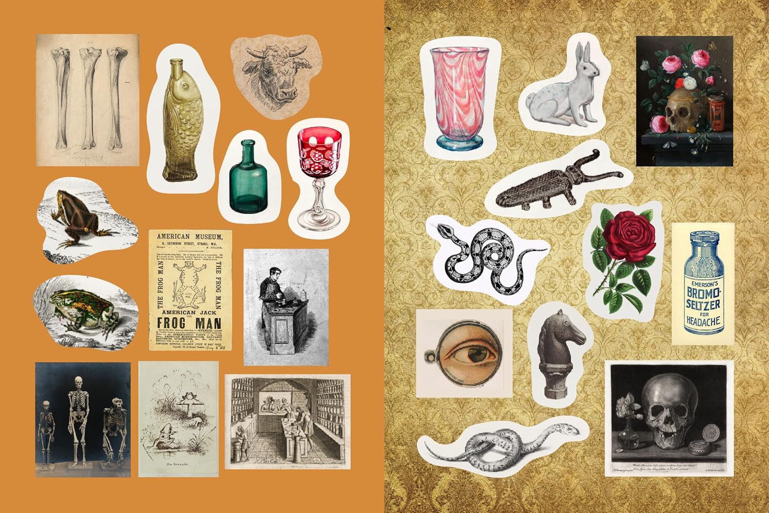 Apothecaries. Remedies & Rarities Sticker. Color & Activity Book