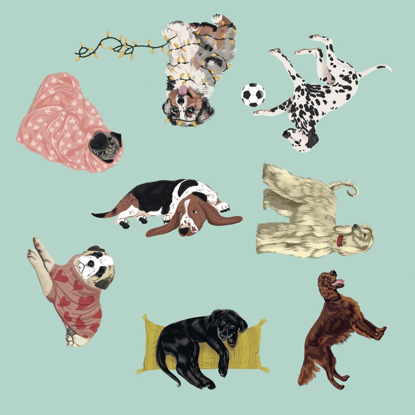 Dog Spotter