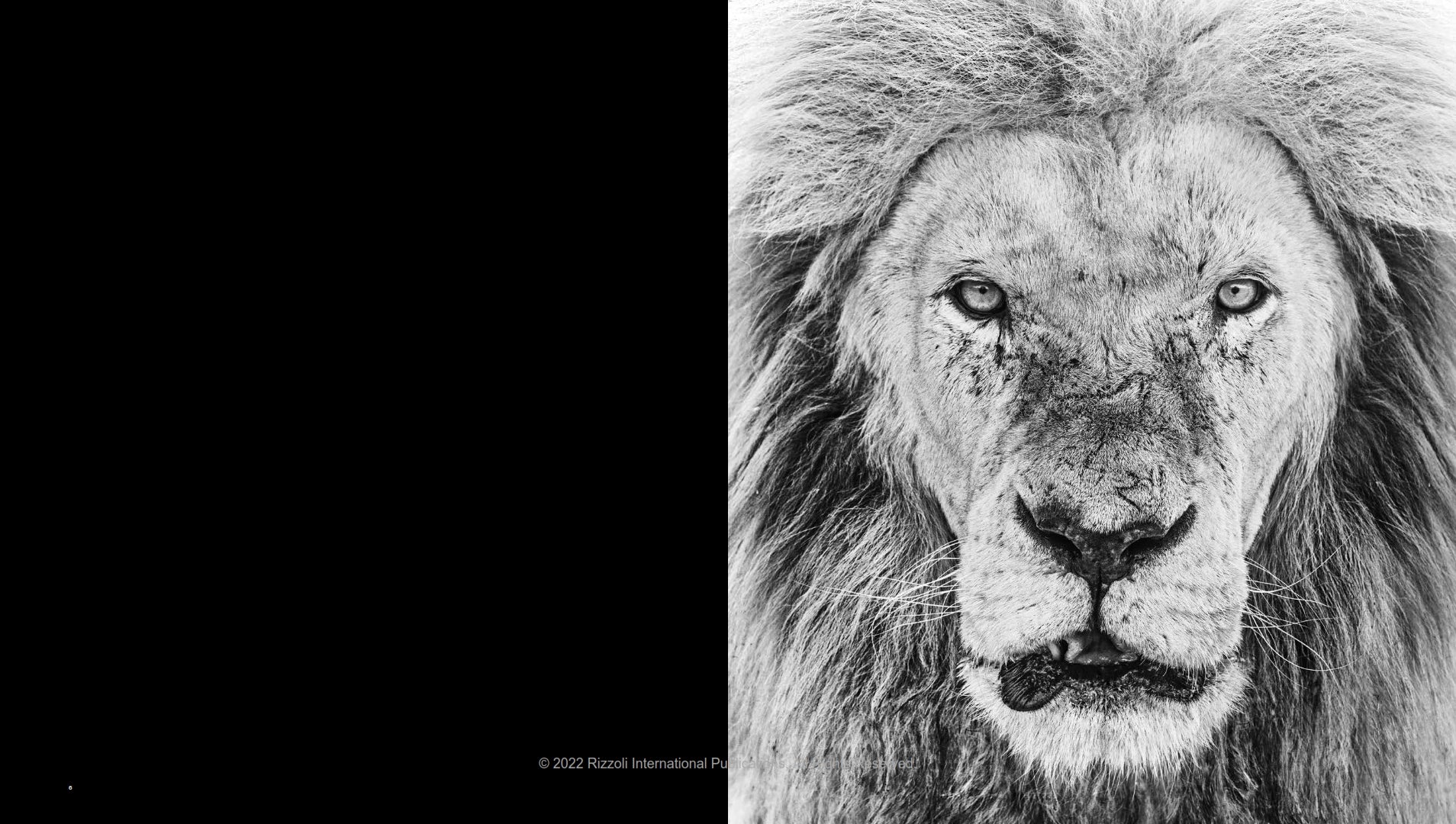 Storytelling - David Yarrow