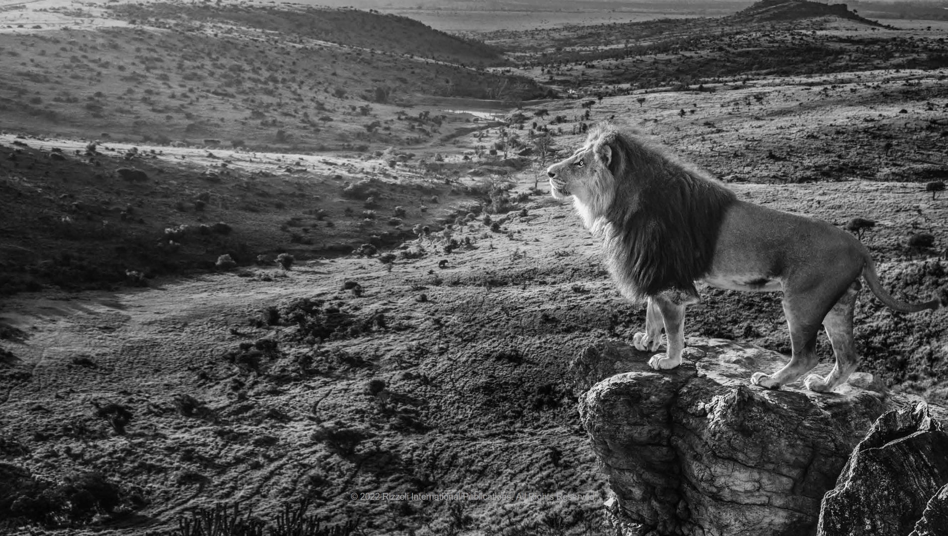 Storytelling - David Yarrow
