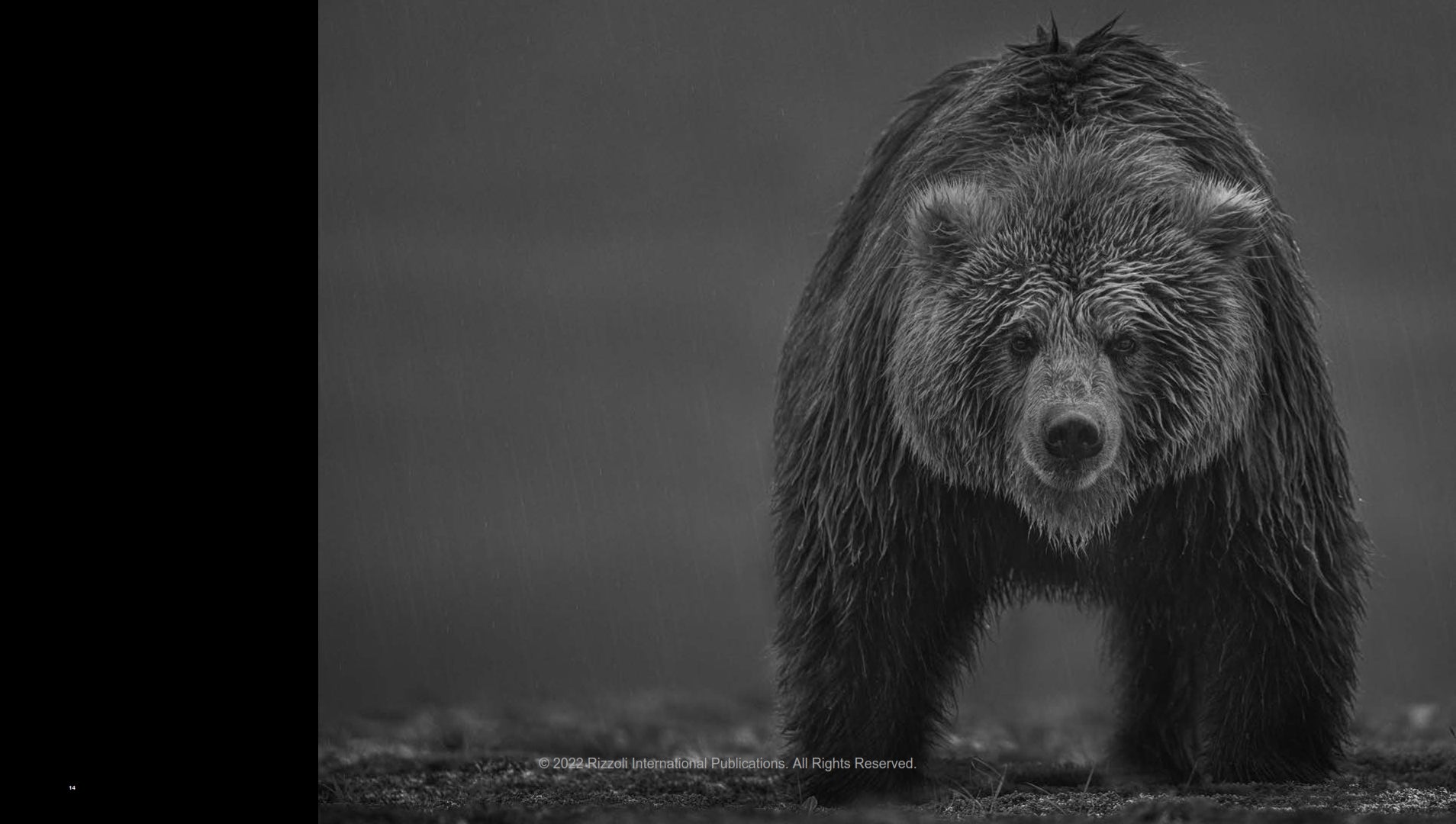 Storytelling - David Yarrow